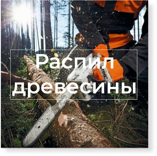 Распил древесины, старых деревьев аварийных, пней в Беларуси 