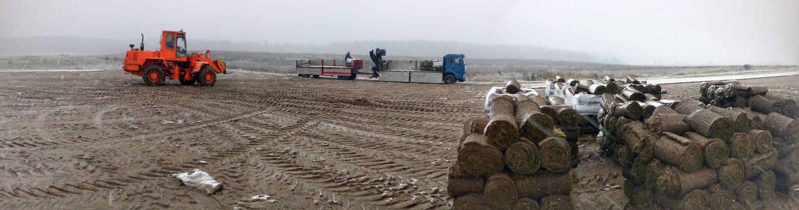 Рулонный газон заказать, мятлик луговой цена за кв метр в Беларуси