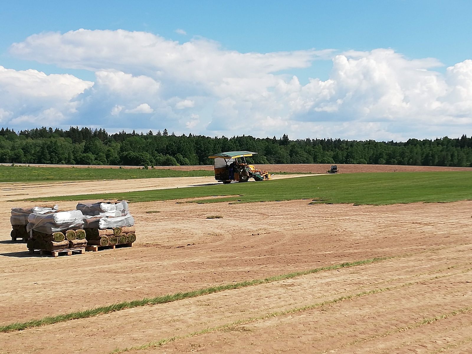 Рулонная трава, подготовка участка к укладке газона, фото