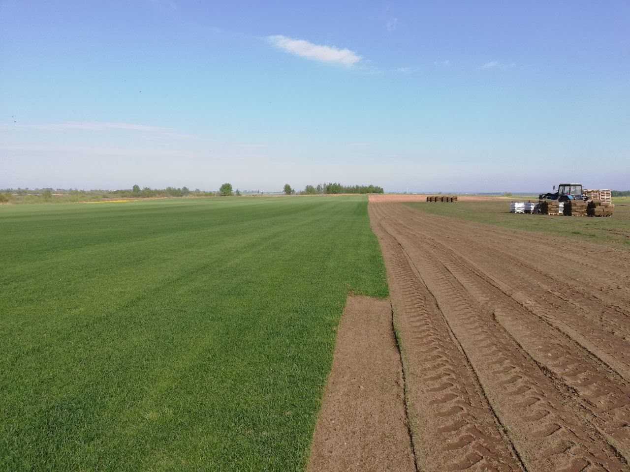 Рулонный газон купить в Беларуси, оптом цена за кв м от 5 руб, фото