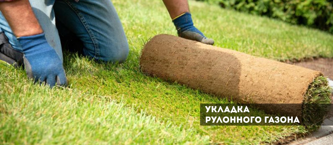 Устройство рулонного газона укладка в Минске, цена за м2 Беларусь
